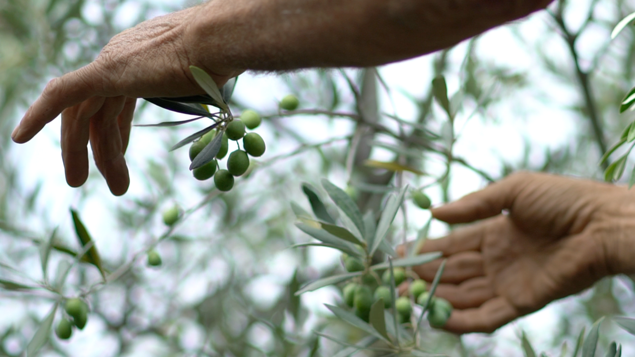 POTARE LENTO | Avviso di proroga e riapertura dei termini